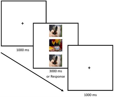 Processing Distracting Non-face Emotional Images: No Evidence of an Age-Related Positivity Effect